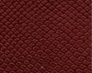 Vipera